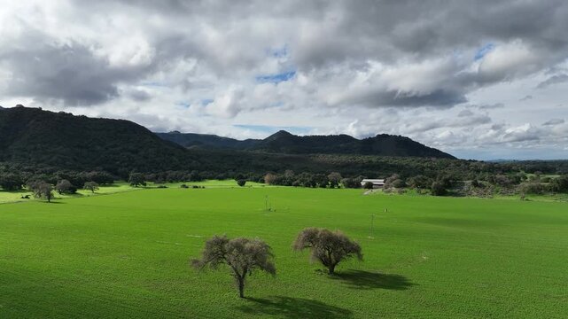 Santa Barbara County, by highway 154. Beautiful green pasture.
