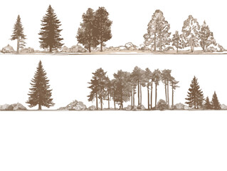 다양한 종류의 나무와 바위가 있는 숲 풍경의 손으로 그린 일러스트레이션