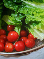 Fresh red cherry tomatoes and green cos lettuce with water drops