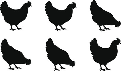 Set of Minimalist black chicken pecking at ground silhouette vector icon © Vector.com