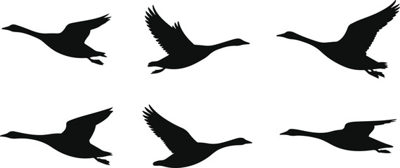 Set of Minimalist black goose flying silhouette vector icon © Vector.com