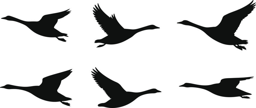 Set of Minimalist black goose flying silhouette vector icon