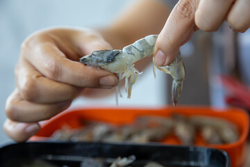 close-up shot of hands carefully preparing fresh shrimp.