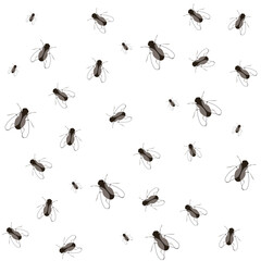 real 3d flys cool pattern