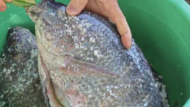 Put lemongrass in tilapia fish.