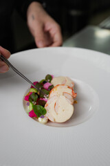 Chef artfully plates a delicious dish with fresh ingredients and vibrant colors