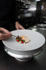 A chef meticulously garnishing a beautifully plated gourmet dish