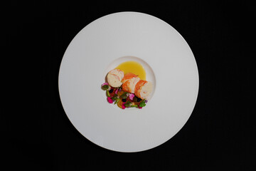 An overhead shot of an artfully plated gourmet meal, with a focus on fresh lobster and a vibrant sauce. The dish is presented on a minimalist plate with an eye-catching design.