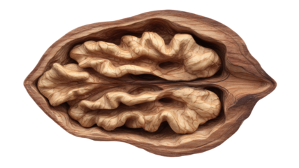 Macro walnut half cut open showing kernel texture detailed food photography studio lighting isolated on white background