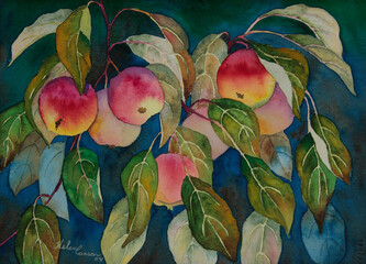 Crabapples with a Rosey Glow