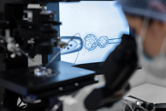 Advanced IVF laboratory procedure with embryologist using micromanipulator for ICSI treatment, artificial insemination and human embryo research in modern fertility clinic for assisted reproduction.
