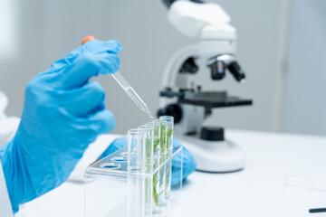 Environmental science, scientists examining plant genetics in test tubes, laboratory testing, laboratory experiments on green plants, testing for chemical residues, food safety.