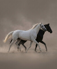 Two horses running in profile, perfectly aligned in the same direction