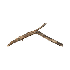 Obraz premium Weathered driftwood branch on black background