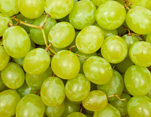 Full frame close-up of green grapes forming a dense fruit texture background. Round grape berries with natural surface variation and light bloom, photographed from above. Suitable for food textures.