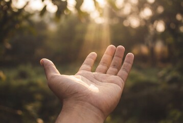 Close up of male hand reaching towards bright sunlight in nature with blurred green background