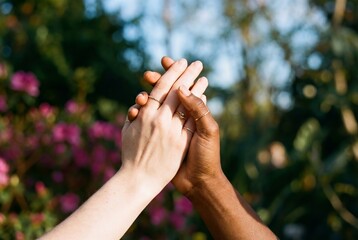 Two diverse hands clasping gently in a garden setting with pink flowers in the background