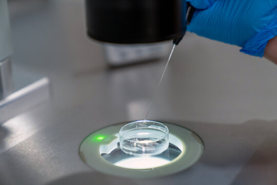 Professional embryologist using microscope for ICSI IVF procedure, microinjection of sperm into female egg cell in fertility clinic laboratory for assisted reproduction, human artificial insemination.