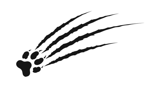 Aggressive animal paw print with long, sharp claw mark scratches, creating a dynamic and powerful graphic for a sports mascot or logo.