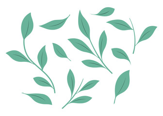 Vector illustration of Green Leaves set on transparent background