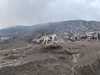 A lone horse stands on a rocky, volcanic terrain with a smoky mountain in the Bromo background.