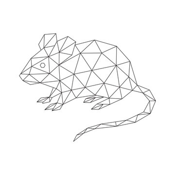 Polygonal line art of mouse vector