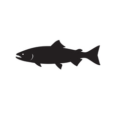Obraz premium Salmon Fish Vector