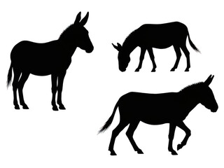 Silhouettes Donkeys Isolated Transparent Background