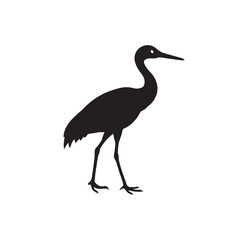 Obraz premium Sandhill Crane Vector Illustration