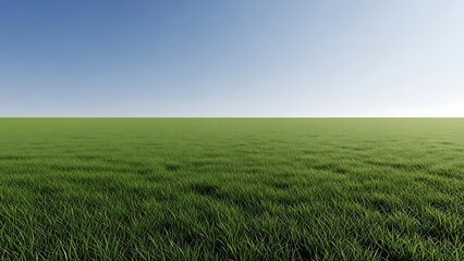 Fototapeta premium Vast Green Meadow Under a Clear Blue Sky with Horizon Line