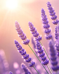 Pastel Dreamy Aesthetic Background