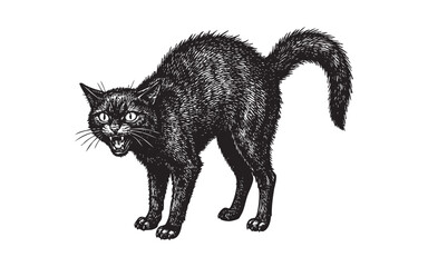 Spooky Hand-Drawn Vintage Black Cat Hissing with Arched Back engraving vector illustration © trianatio