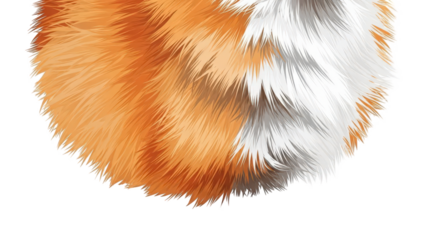 Vibrant orange and white fur texture on black background