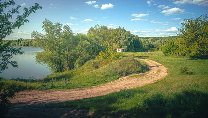 Summer landscape