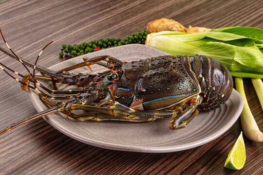 Raw fresh lobster for bowl