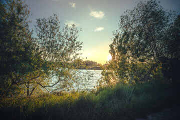 Summer evening landscape