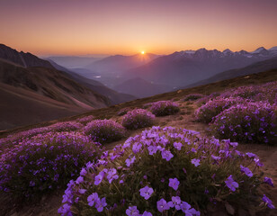 Obraz premium Mountains with purple flowers at sunset. Lavender field at sunset in France.