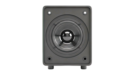 Black Subwoofer Speaker with Ribbed Cone