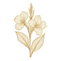 Fototapeta premium PNG Elegant botanical floral line art