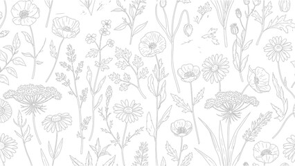 Delicate Floral Pattern - Hand Drawn Wildflowers Sketch on White Background