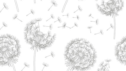 Dandelion seeds blowing in the wind, delicate line art illustration, white background