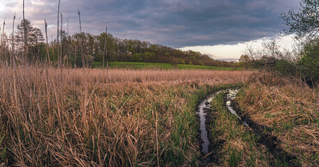 Obraz premium Summer evening landscape