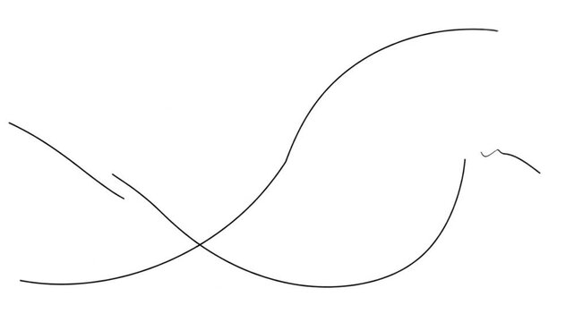 Simple Black Lines on White Background.