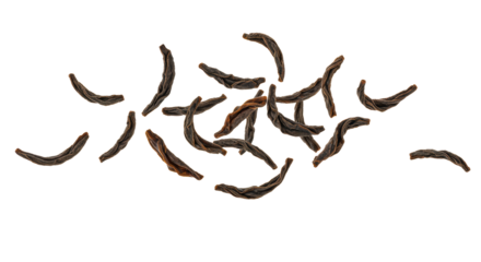 Hyper-detailed macro studio shot of glossy, dark brown black tea leaves captured flying dynamically against a stark infinity white background. Concept for tea beverage marketing