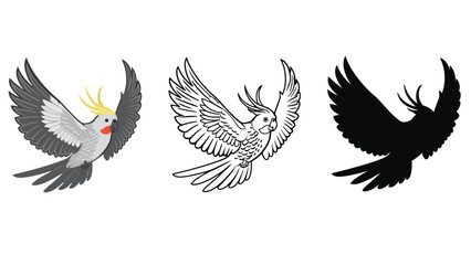 Naklejka premium Three illustrations of a cockatiel in flight with different color schemes