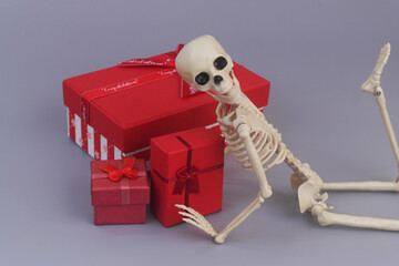 Human skeleton with red gift boxes on grey background.