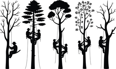 Silhouette of People Climbing Trees with Ropes