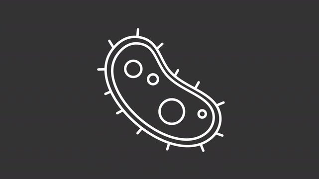 Animated microorganism white line icon. Engineering bacteria animation. Single celled organism. Protozoan research. Biotechnology. Isolated element on dark background. Alpha transparent video