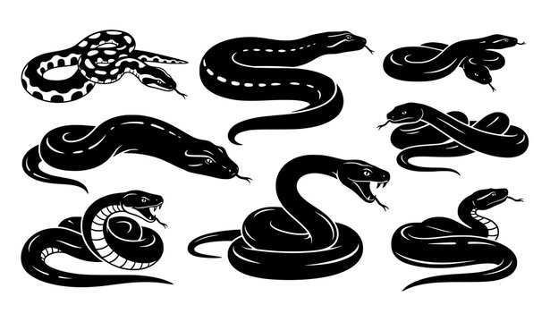 Black snake silhouettes of python anaconda modern vector set