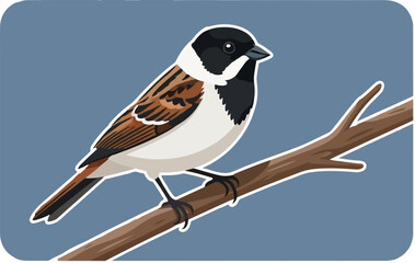 Obraz premium Small bird with black, white, and brown plumage perched on a brown branch against a blue background